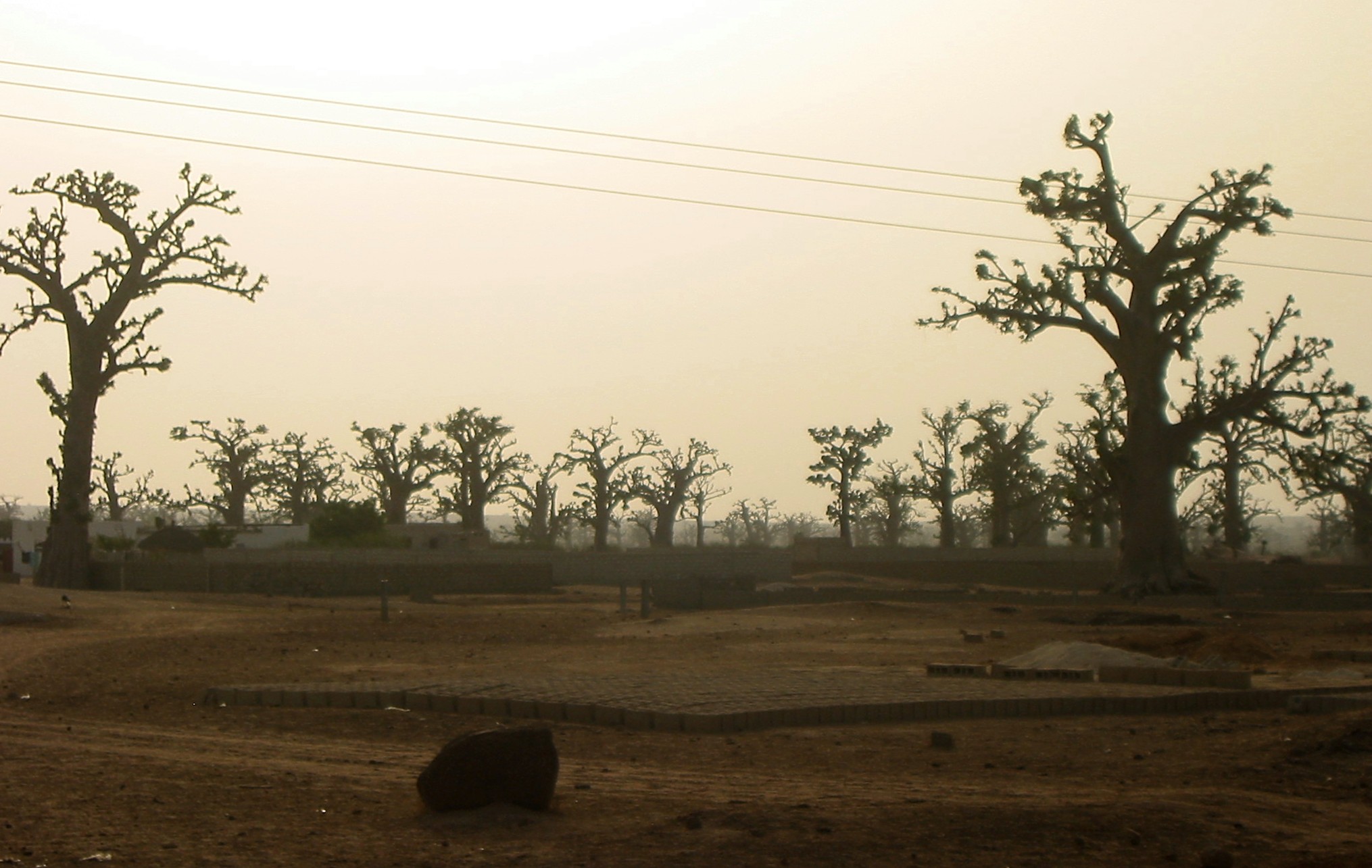 Senegal